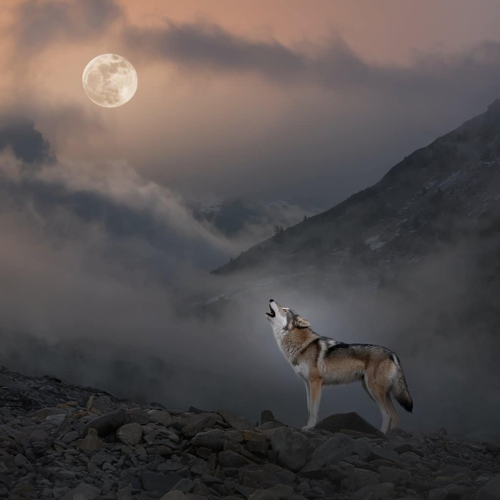 33 Quotes About Courage to Overcome Fear