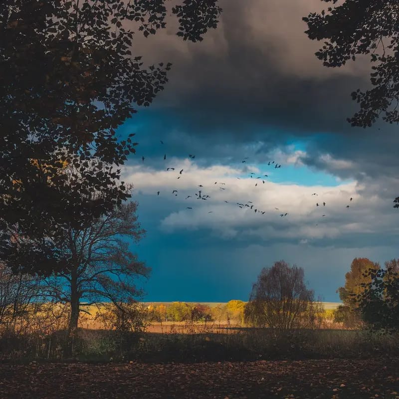 37 Strength Quotes to Help You Overcome Challenges