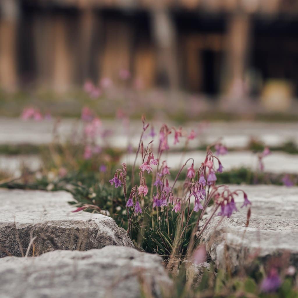 49 Short Positive Quotes for a Happy Mindset