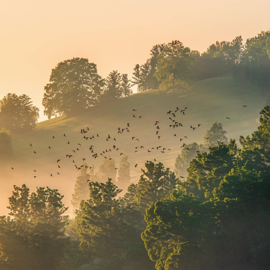 50 Morning Quotes to Begin the Day Inspired