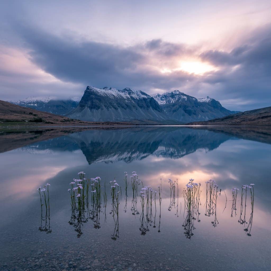 33 Peace Quotes That Bring Calm and Clarity